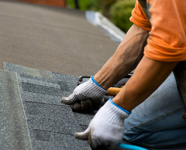 Best Roof Gutter Cleaning  in Lansdowne, VA